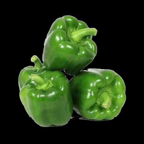 Fresh Green Capsicum